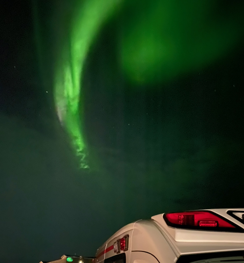 Northern lights over a forest